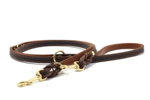 Lederleine Klassik Premium 2m Gold