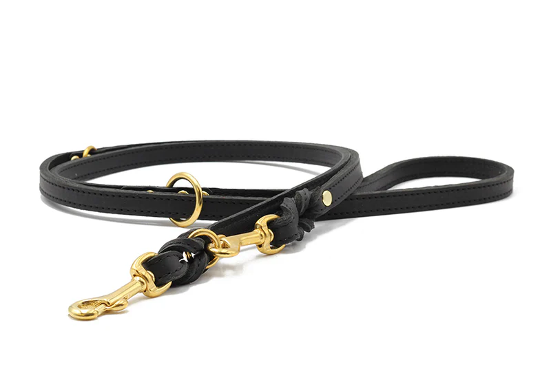 Lederleine Klassik Premium 2m Gold 3 Lederleine Klassik Premium 2m Gold – Bild 3