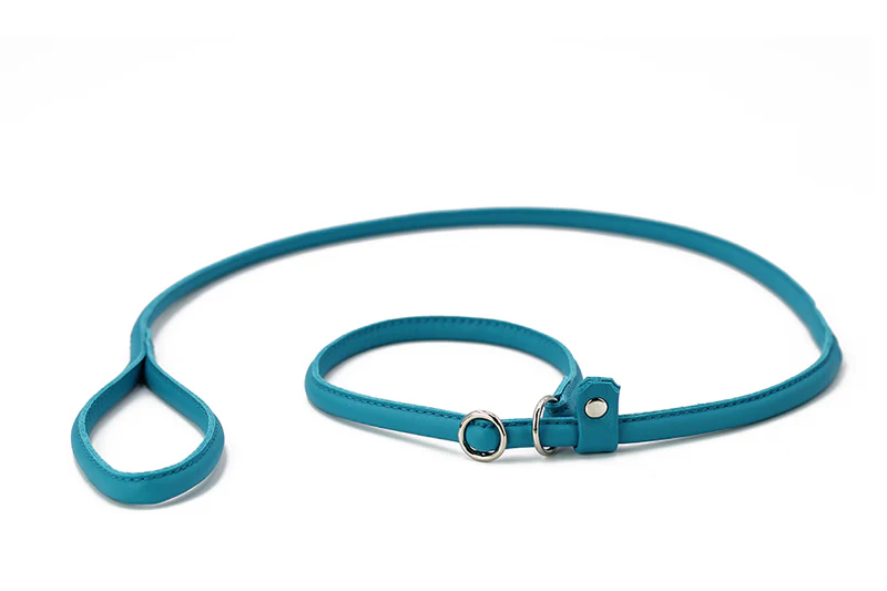 Retriever - Leine Petrol 1 Retriever - Leine Petrol