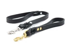 Kurzführer Klassik Premium