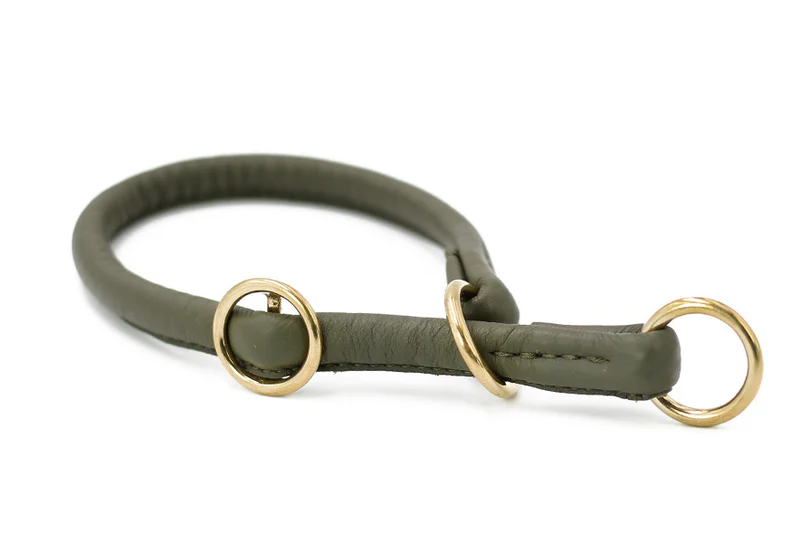 Halsband Rundgenäht Gold 7 Halsband Rundgenäht Gold – Bild 7