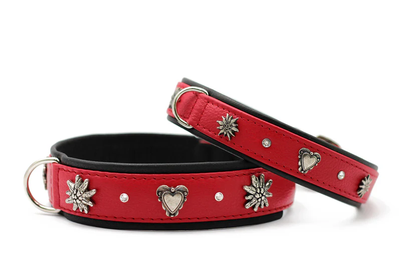 Halsband Herzilein 1 Halsband Herzilein