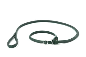 Retriever – Leine Grün