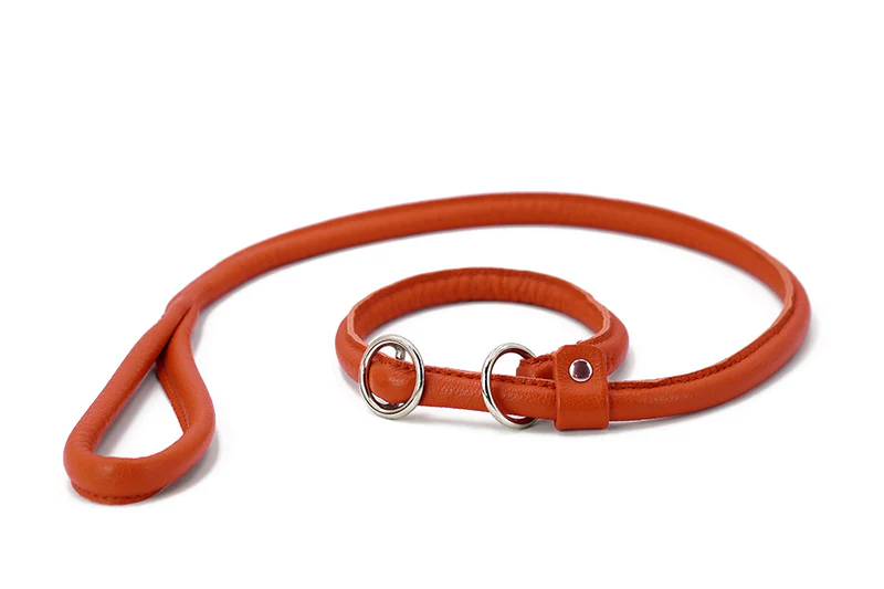 Retriever - Leine Orange 1 Retriever - Leine Orange