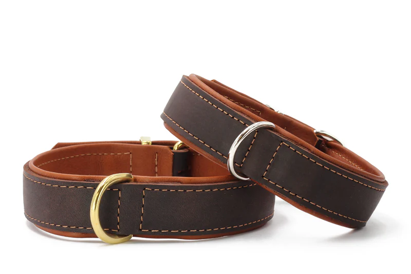 Halsband Klassik Premium Braun 1 Halsband Klassik Premium Braun