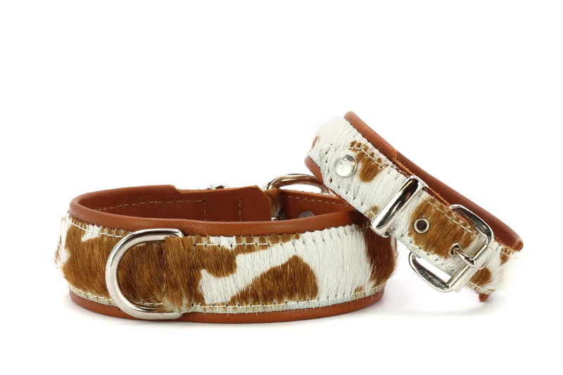 Halsband Kuhfell 1 Halsband Kuhfell