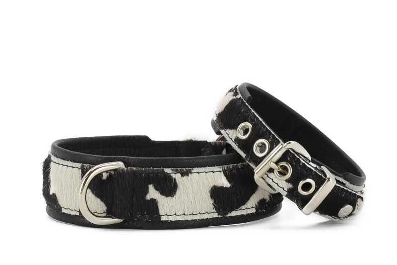 Halsband Kuhfell 3 Halsband Kuhfell – Bild 3