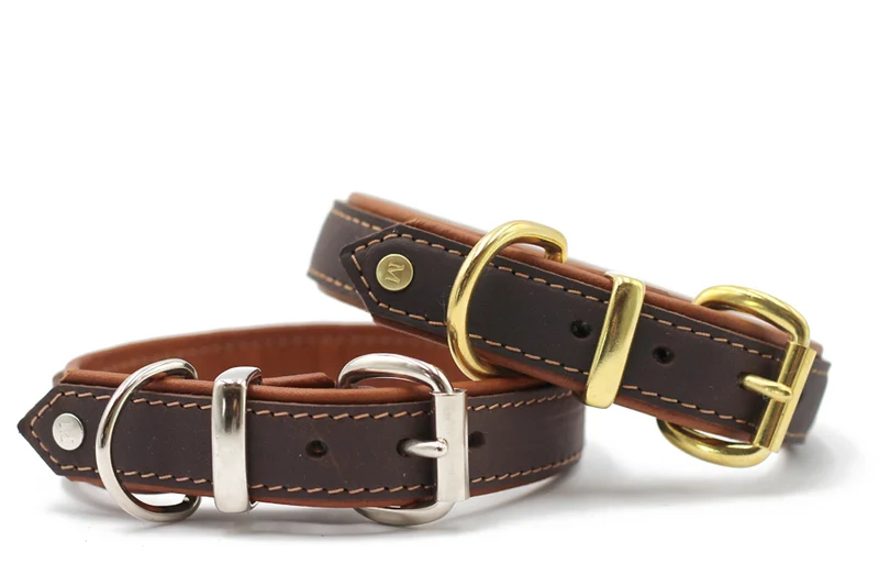 Halsband Klassik Premium Soft 1 Halsband Klassik Premium Soft
