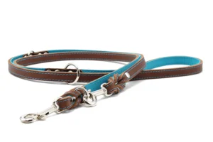 Lederleine Klassik Premium 2m Mokka