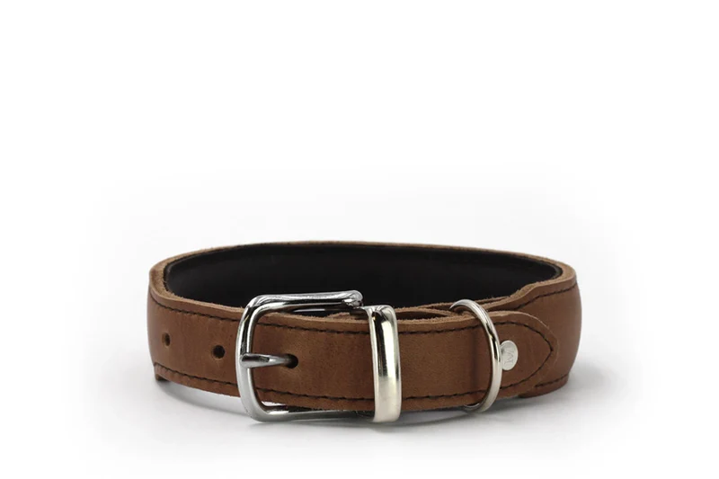 Halsband gepolstert Mono Pop 2 Halsband gepolstert Mono Pop – Bild 2