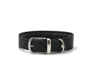 Halsband gepolstert Mono Pop