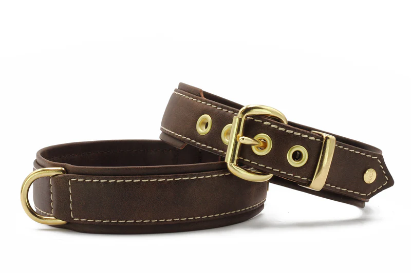 7020 Halsband Old English dunkelbraun eaaf3b16 4b78 415c a156 e8cd68e4ab8b