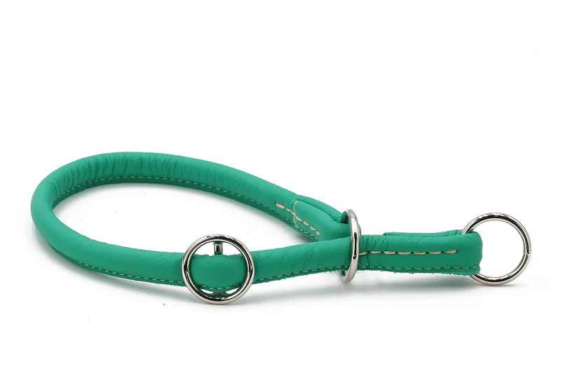 Halsband Rundgenäht Holi Color 1 Halsband Rundgenäht Holi Color