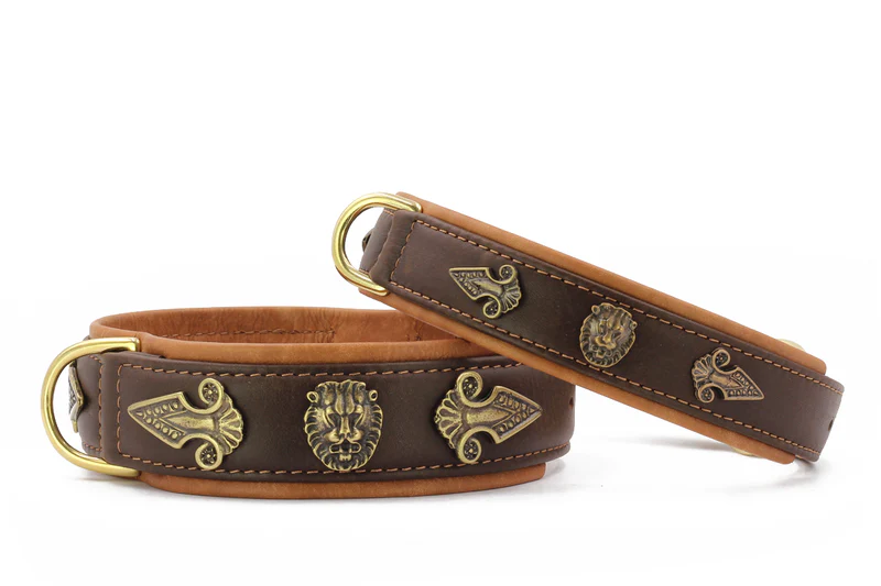 Halsband Lion 1 Halsband Lion