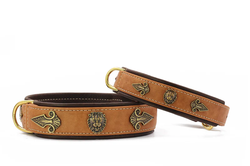 Halsband Lion 3 Halsband Lion – Bild 3