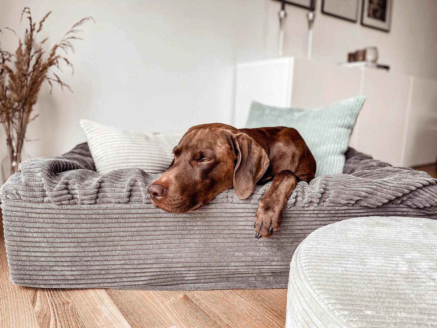 Bruno Buddelbox Cord 9