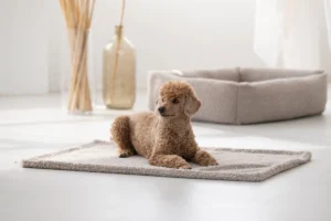 Hundedecke Teddy