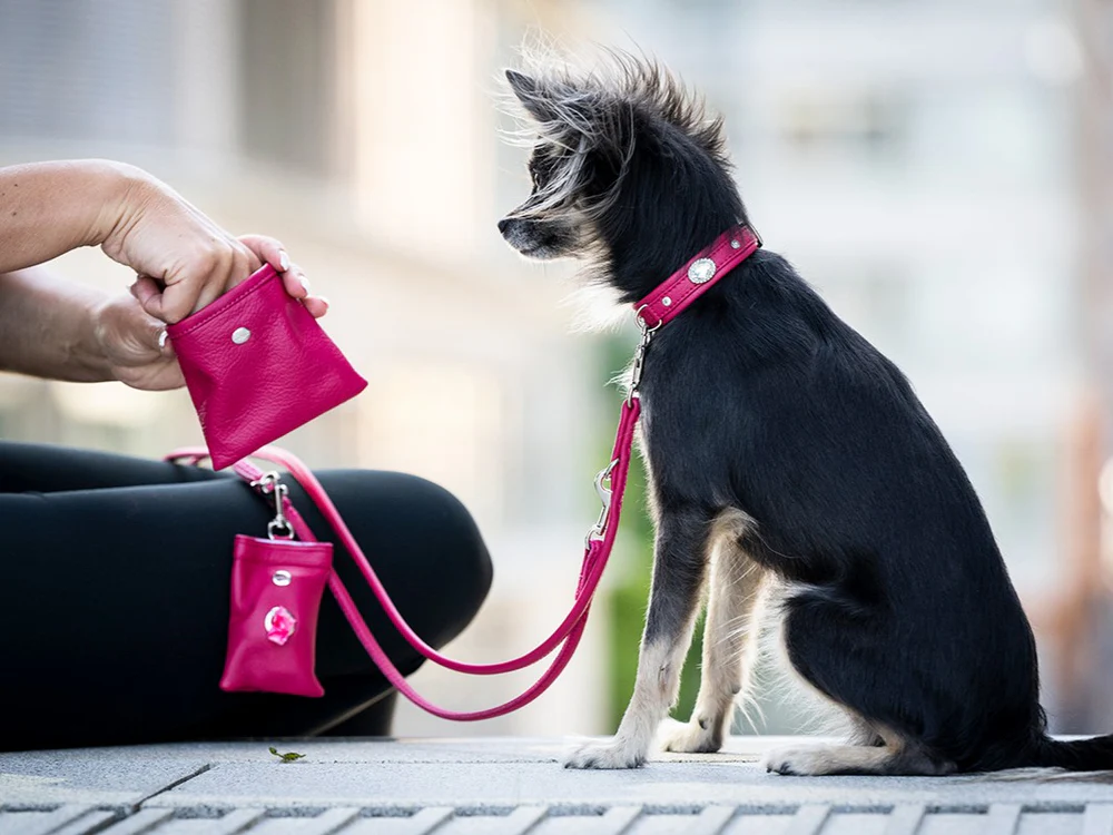 Leckerli beutel leder pink