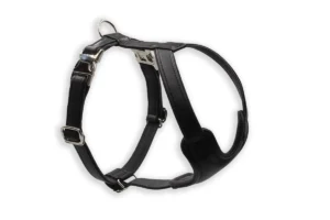 Ledergeschirr Silber